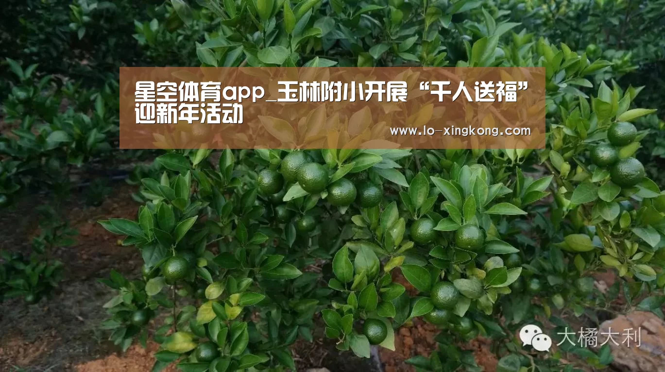星空APP下载